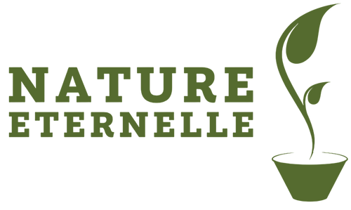 Nature Eternelle